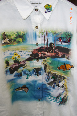 A display of embroidery on a printed shirt.